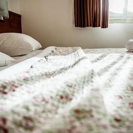 Pansion Jarkic Guest house *
